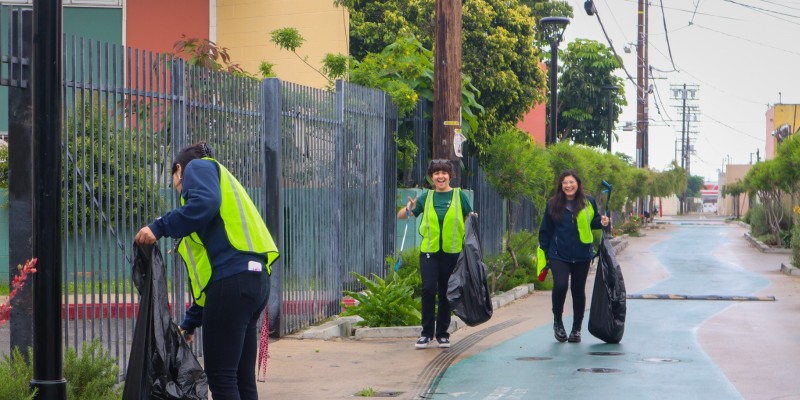 Bradley Alley Clean Up