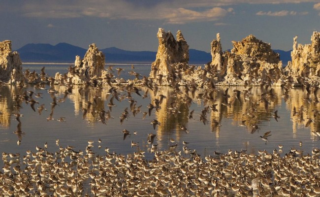 mono lake