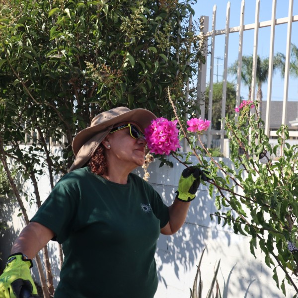 Our CI stops to smell the flowers 