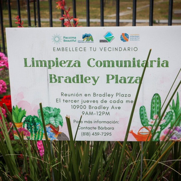 Bradley Plaza Clean Up