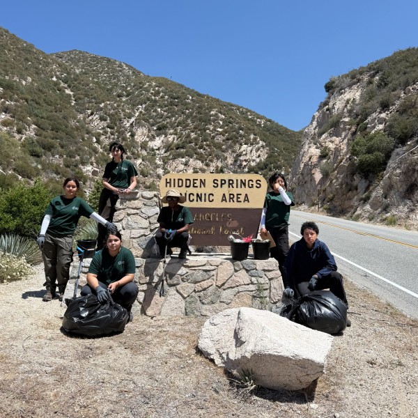 Junior Field Rangers
