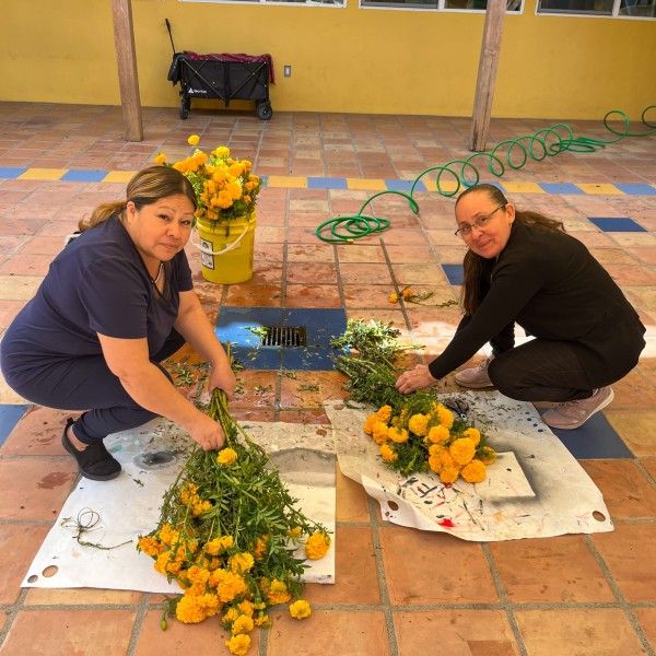Chicas Girasol