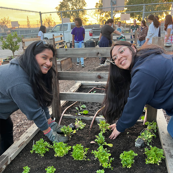 San Fernando High School garden